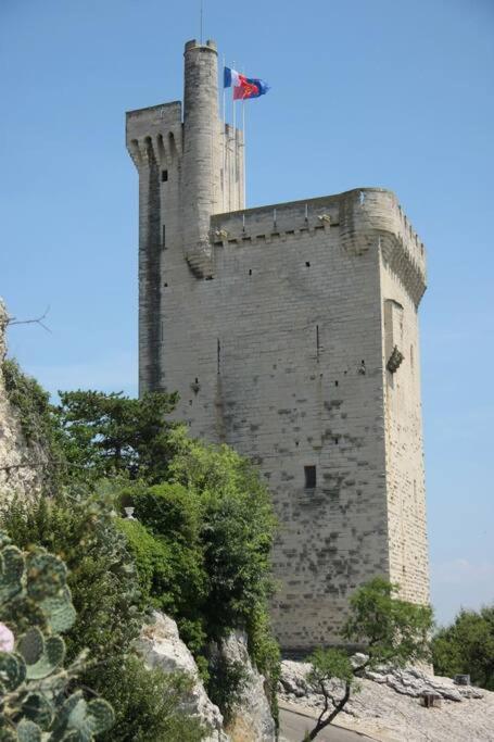 Villeneuve-lès-Avignon La Cigale - Vieux Village - Charmante Maisonnette Climatisee Avec Jardin מראה חיצוני תמונה
