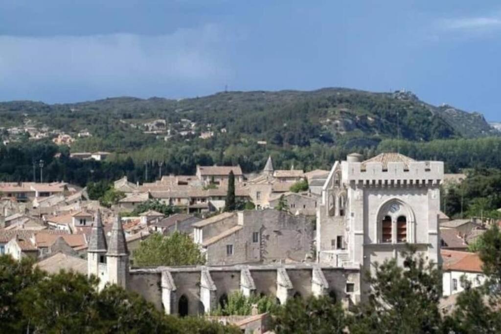 Villeneuve-lès-Avignon La Cigale - Vieux Village - Charmante Maisonnette Climatisee Avec Jardin מראה חיצוני תמונה